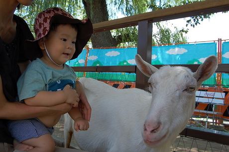 東山動物園_d0229469_1347502.jpg