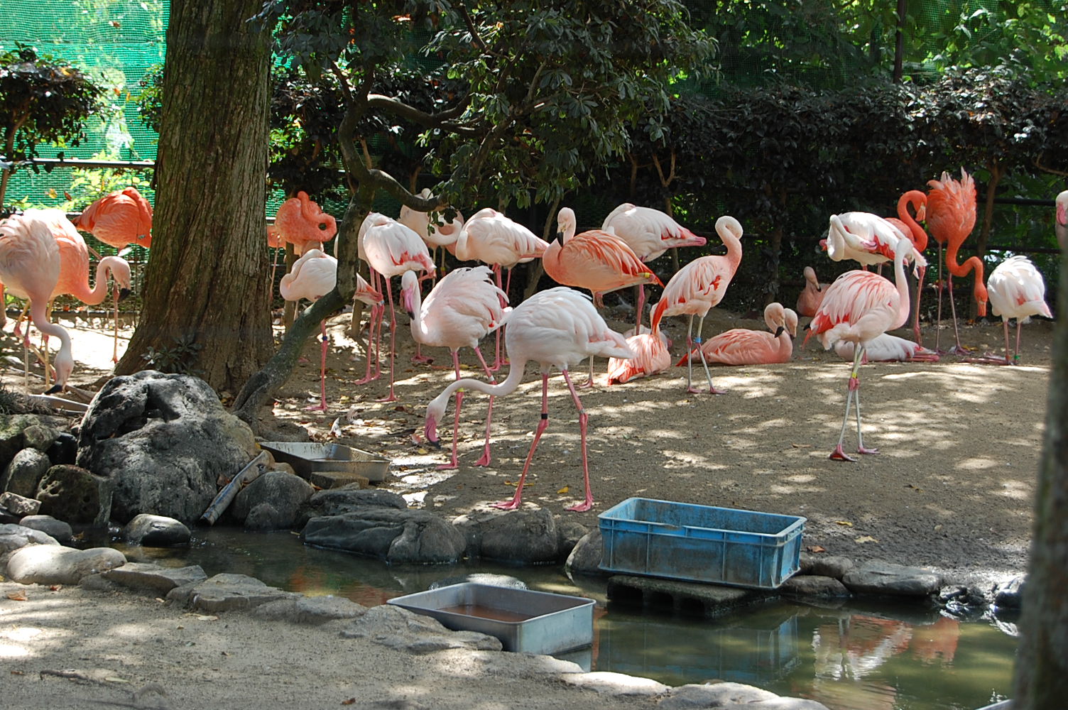 東山動物園_d0229469_13494141.jpg