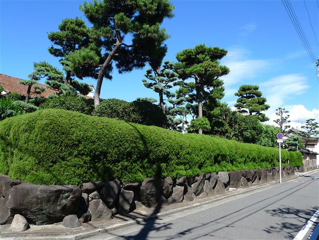 浜寺の近代住宅建築群_f0139570_725851.jpg