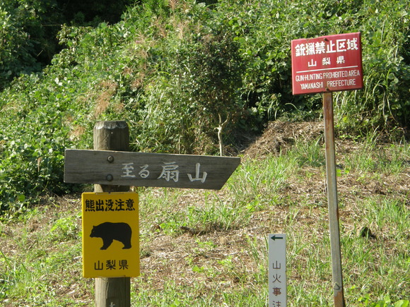 扇山_e0232277_11204870.jpg