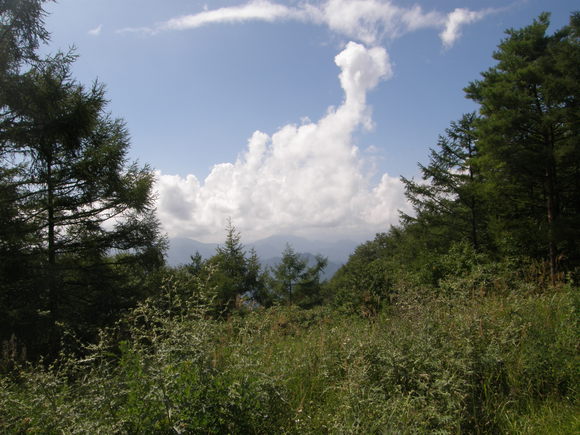 扇山_e0232277_119238.jpg