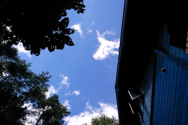 f0124378_2256271.jpg