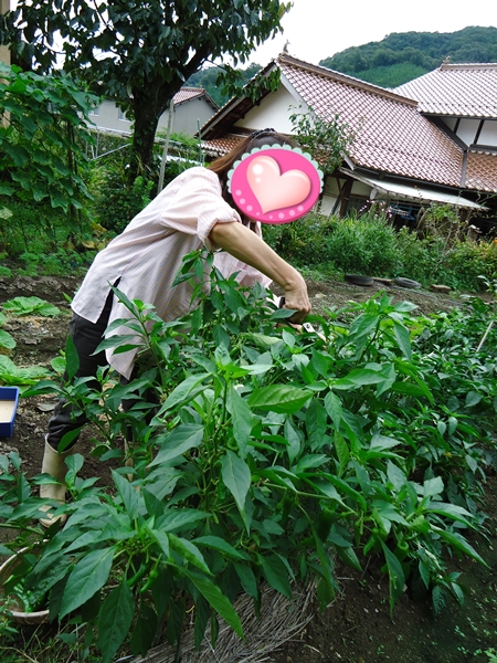 a0199979_17511183.jpg