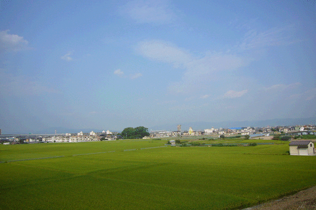 a0275782_16214465.gif