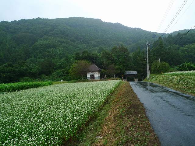 c0212083_21342033.jpg