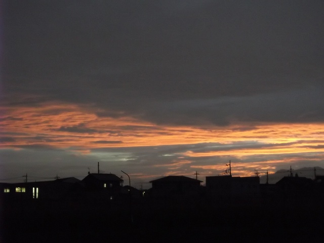 c0212083_8113859.jpg