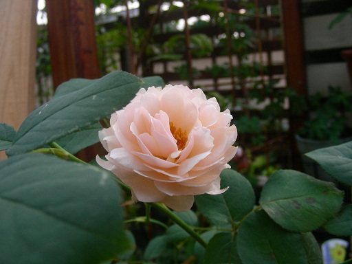 b0096584_0103127.jpg