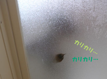 e0125894_23244579.jpg