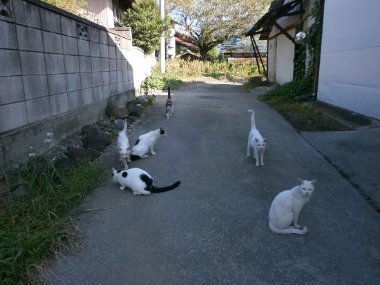 d0000995_958585.jpg