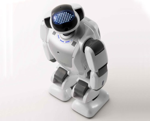 【開催案内】ロボットと考える「人に寄り添うサポートとは」セッション_f0015295_14454487.jpg