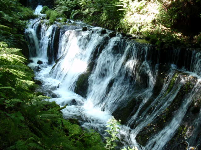 a0288500_1812218.jpg
