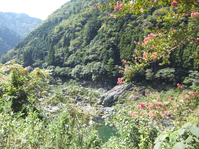 a0271502_19494598.jpg