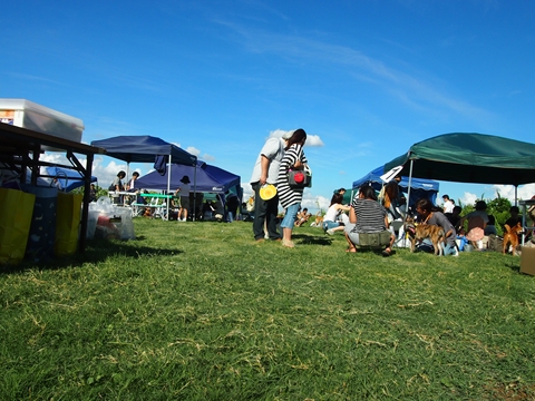 e0242804_20542130.jpg