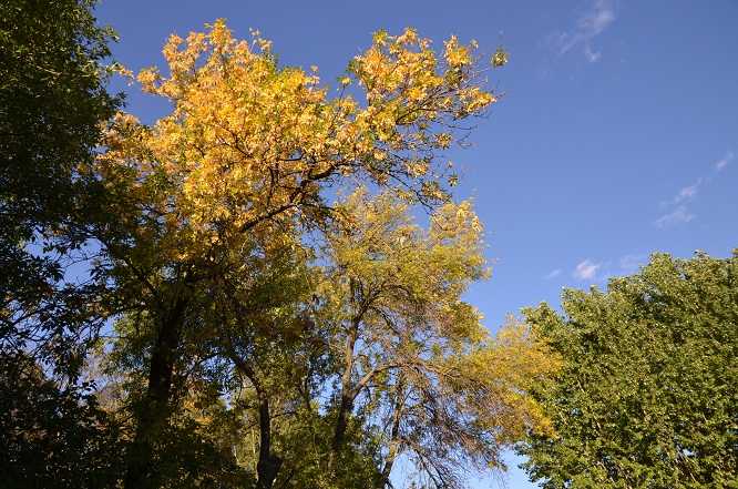a0151913_10543746.jpg
