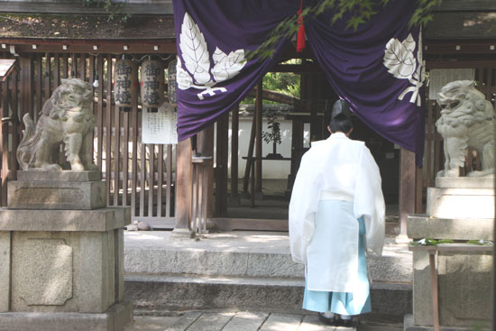神賑わい祭り　宗像神社_e0048413_20114443.jpg
