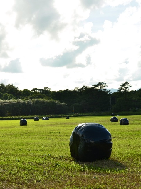 2012年9月17日（月）：連休最終日[中標津町郷土館]_e0062415_142989.jpg