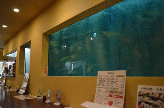 いかしょう 気まぐれ だいありぃ