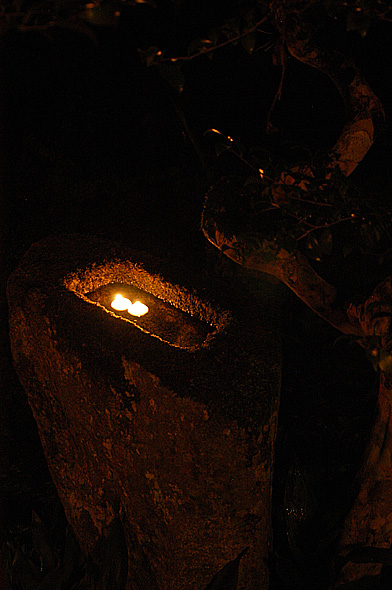 e0186025_20394933.jpg