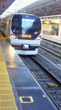 f0100825_7372961.jpg