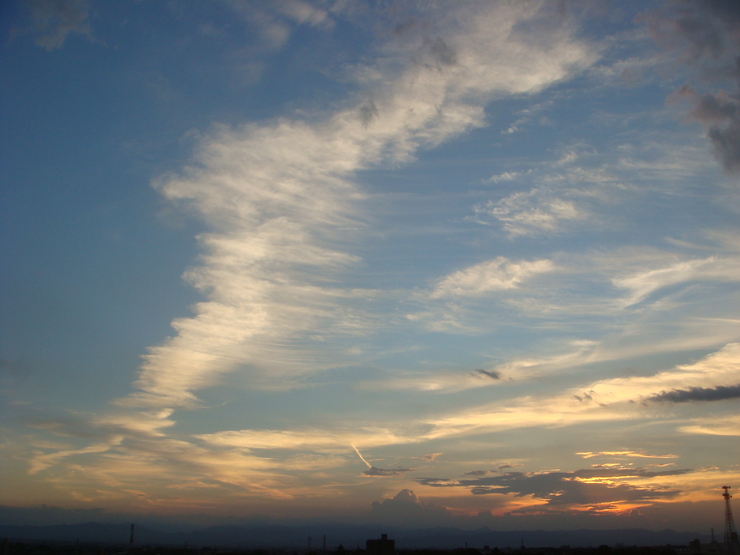f0109825_19205821.jpg