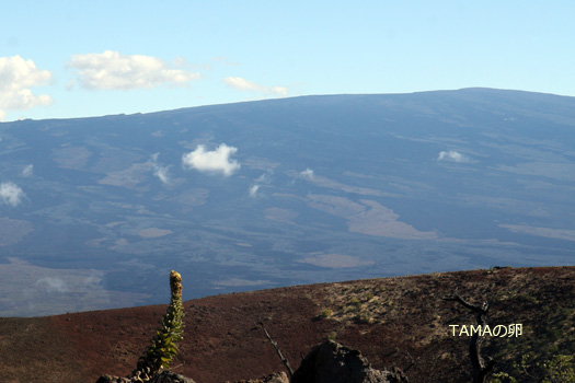 c0024729_16334846.jpg