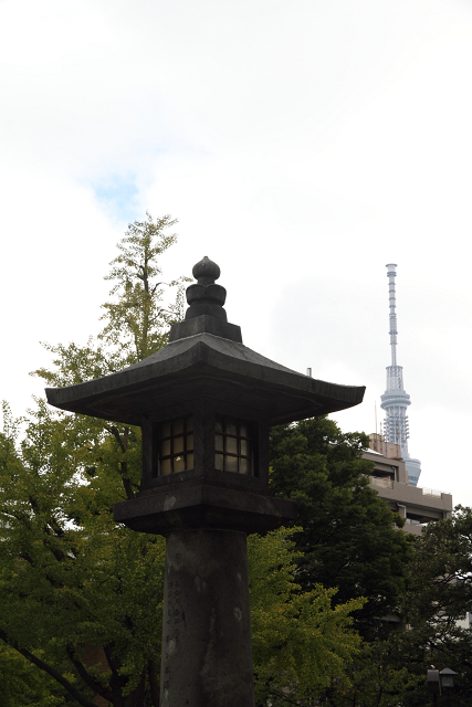 b0169330_1465885.jpg