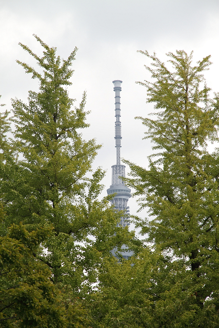 b0169330_147973.jpg