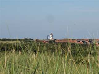 f0224632_1371343.jpg
