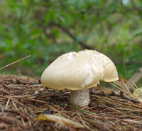 f0108133_8413056.jpg