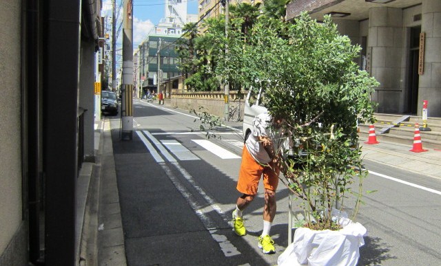 京都要庵歳時記「平成２４年９月　要庵玄関の室礼」萩・シャトーマルゴーの葡萄（２）_d0033734_14122759.jpg