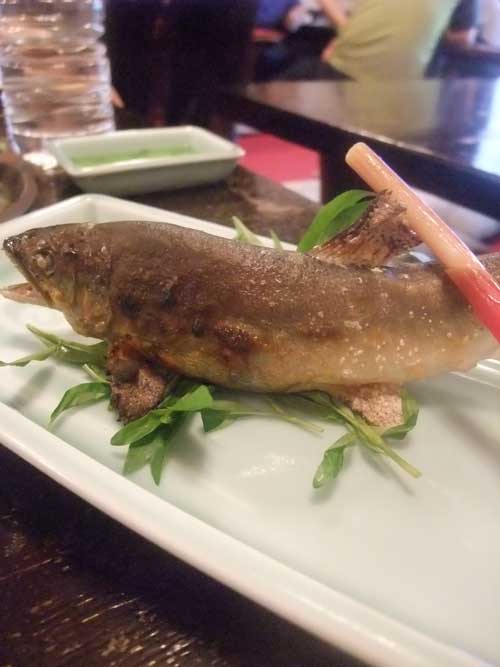 【新宿・思い出横丁(東京・新宿)めぐり 後編 -大黒屋・カブト 編-】_a0005436_14464191.jpg