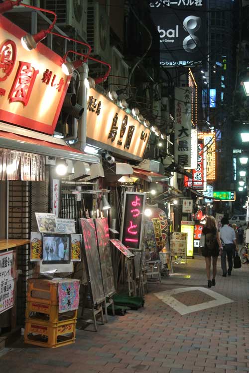 【新宿・思い出横丁(東京・新宿)めぐり 前編 -つるかめ食堂・鳥園 編-】_a0005436_144911.jpg