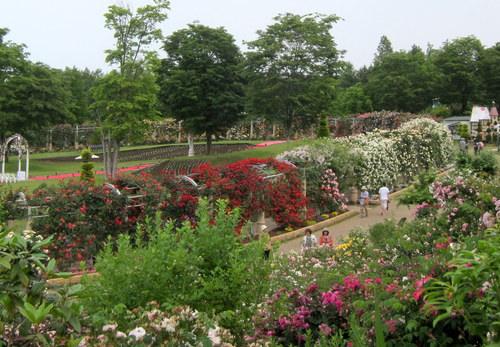 b0178339_10313764.jpg