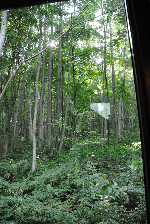 c0162846_12352155.jpg