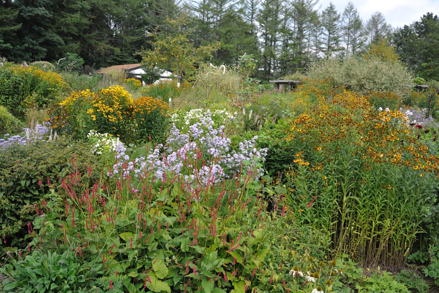 c0162846_223744.jpg