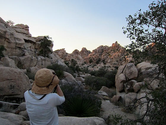 おーちゃんLA滞在記 3日目＠Joshua Tree National Park_b0200852_178556.jpg