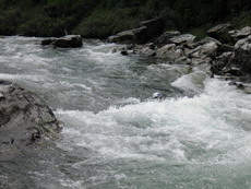 e0020752_949263.jpg