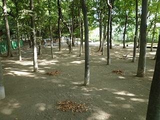 b0203758_982920.jpg