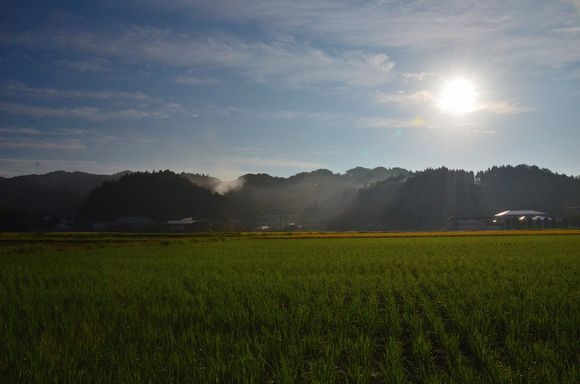 朝の情景Ⅰ_e0271864_2164351.jpg