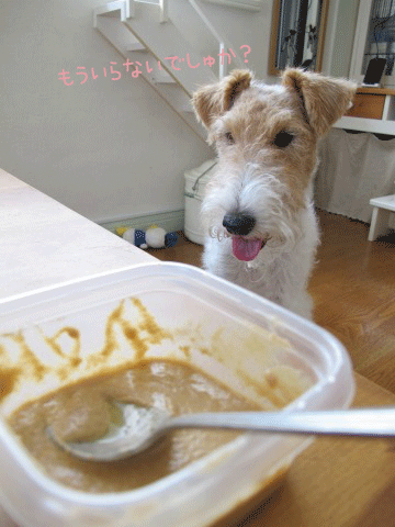c0070377_021319.gif