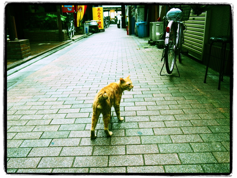 帰りにも立ち寄ってみると_c0109780_1993531.jpg