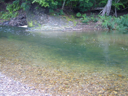 a0118989_22332289.jpg