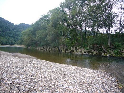 a0118989_22342425.jpg