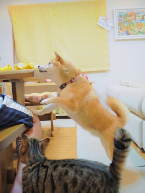 山わさび初体験_a0126590_22332083.jpg