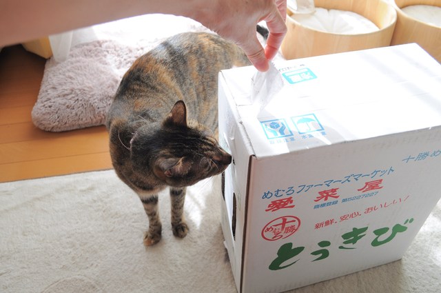 北の国から_a0126590_8544523.jpg