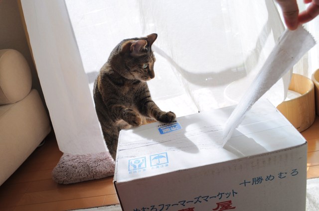 北の国から_a0126590_8555363.jpg