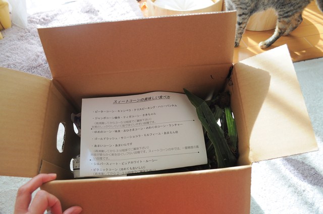 北の国から_a0126590_8575122.jpg