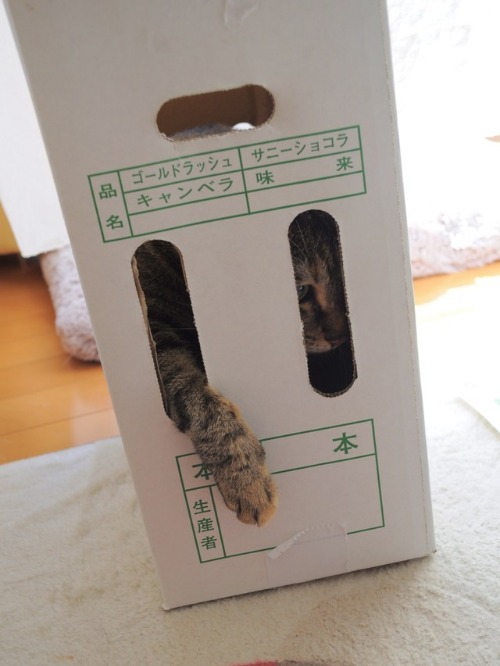 北の国から_a0126590_9195773.jpg