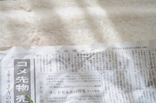 北の国から_a0126590_93678.jpg