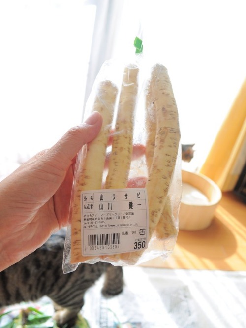 北の国から_a0126590_941762.jpg